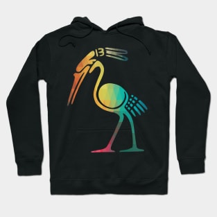 Rainbow bird symbol Hoodie